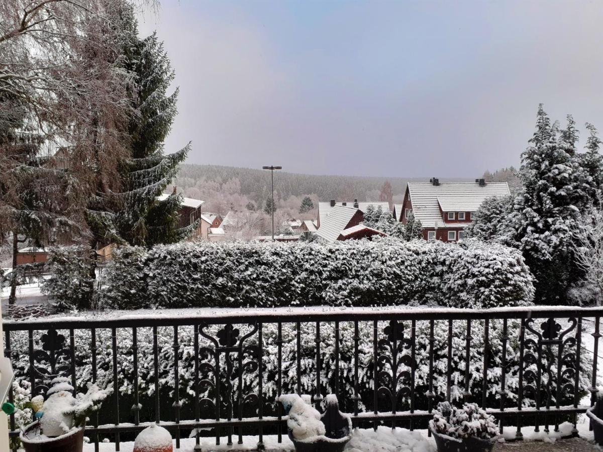 Villa Tannerhof Braunlage Exterior foto